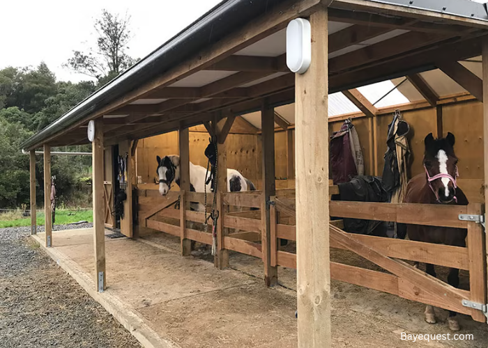 How to Build a Horse Barn on a Budget