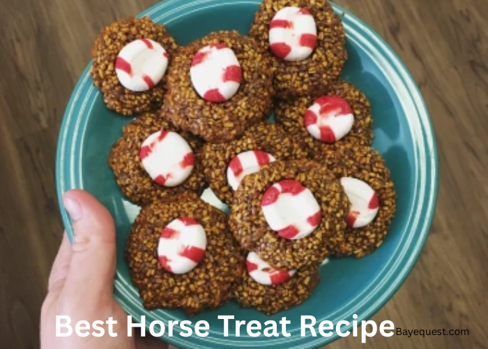 Best Horse Treat Recipe
