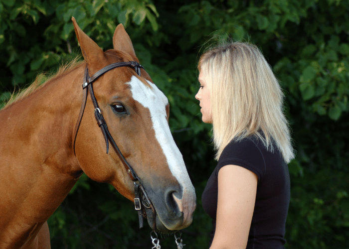 How to Read Horse Body Language