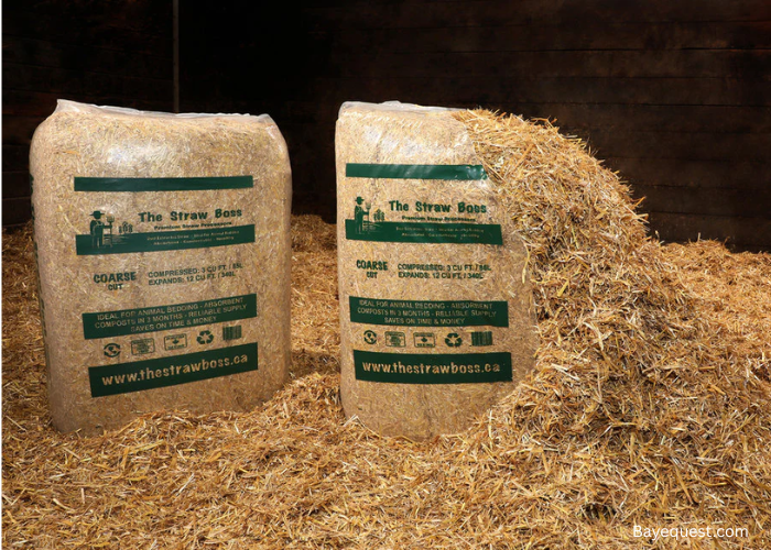 Shavings Vs Straw