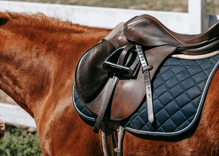 How to Fit a Saddle to a Horse