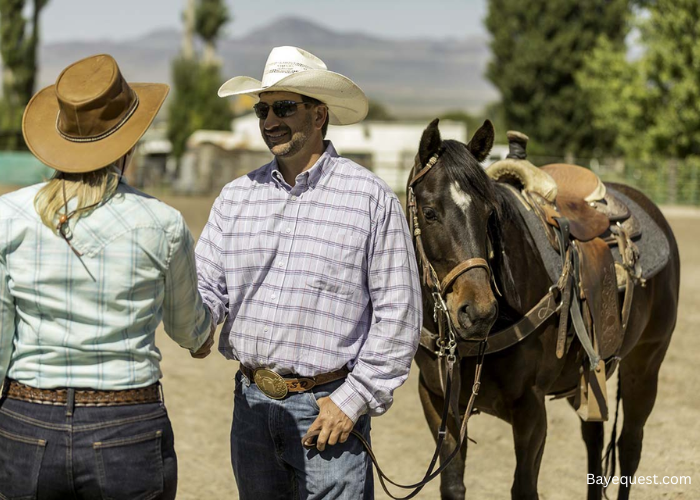 Questions to Ask When Buying a Horse