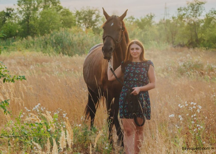 How to Tame a Horse in Real Life