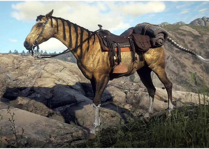 Turkoman Horse Price