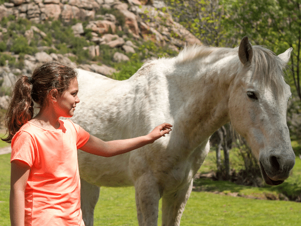 Tame a Wild Horse