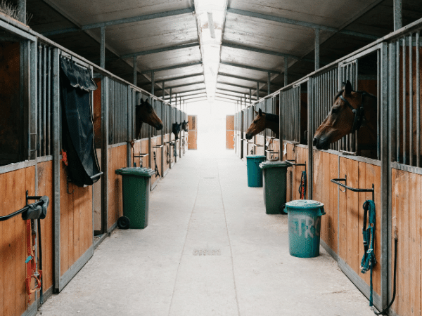 Boarding a horse