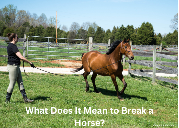 What Does it Mean to Break a Horse?