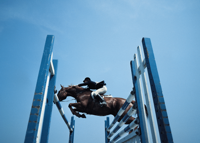 Best Horse Breeds for Jumping
