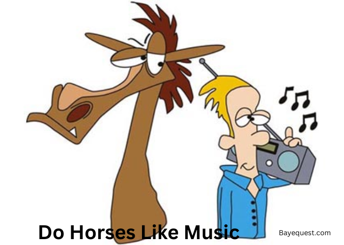 Do Horses Like Music