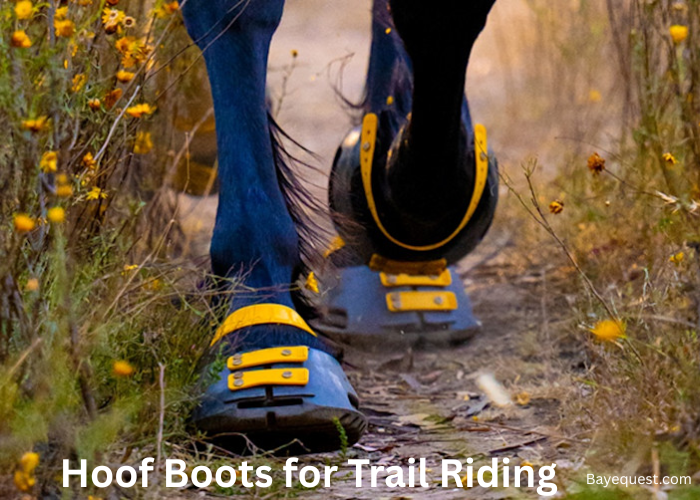 Hoof Boots for Trail Riding