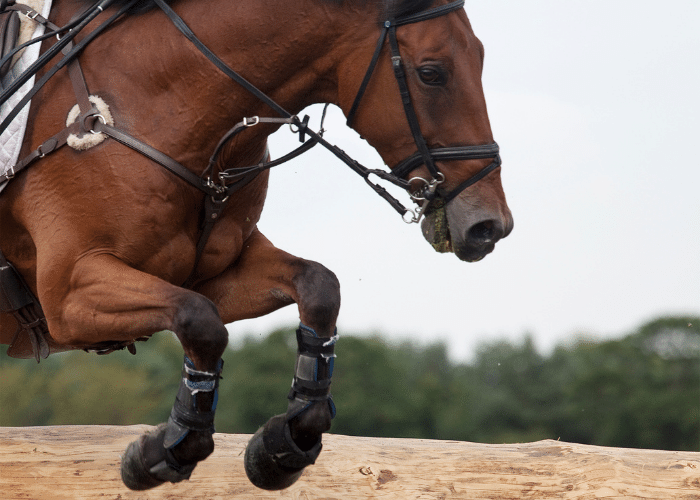 Hoof Boots for Trail Riding