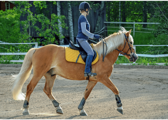 Horseback Riding Equipment List