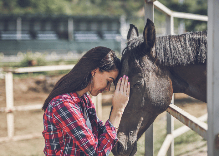 How to Make Money With Horses