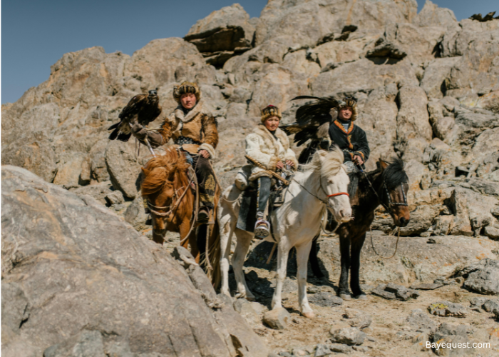 Rocky Mountain Horse