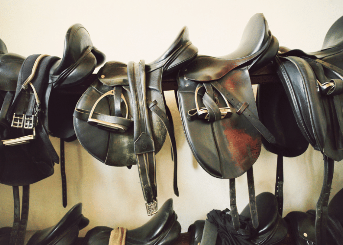 Types of Saddles