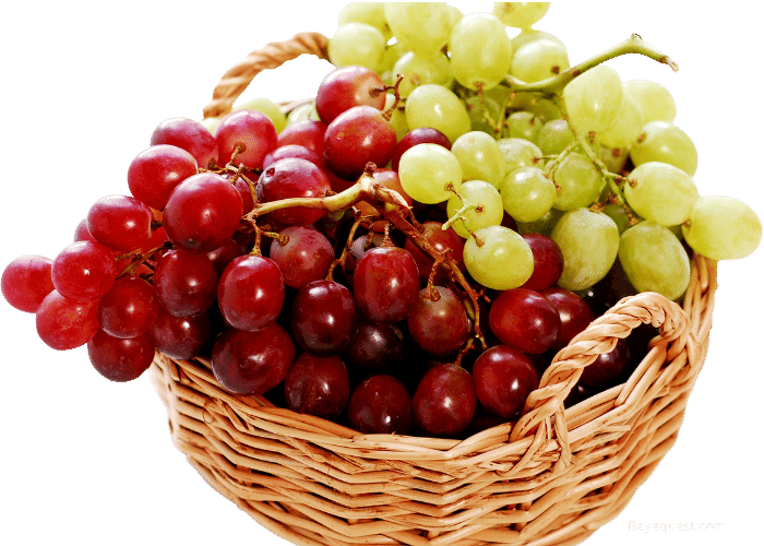 Can Horses Eat Grapes? SOoved!