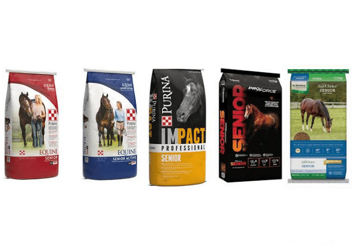 Best Senior Horse Feed