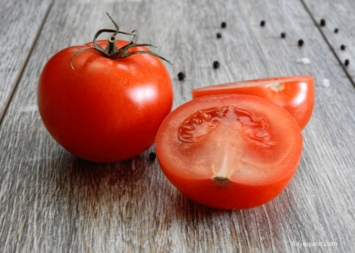 Can Horses Eat Tomatoes