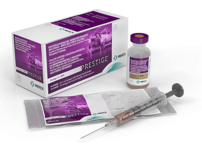 5 Way Horse Vaccine