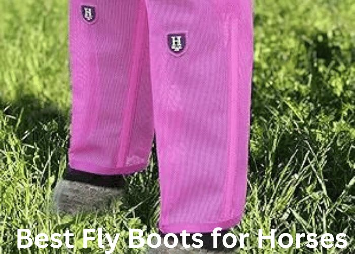 7 Best Fly Boots For Horses