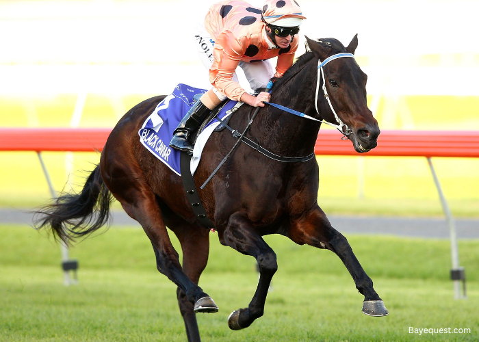 Black Caviar