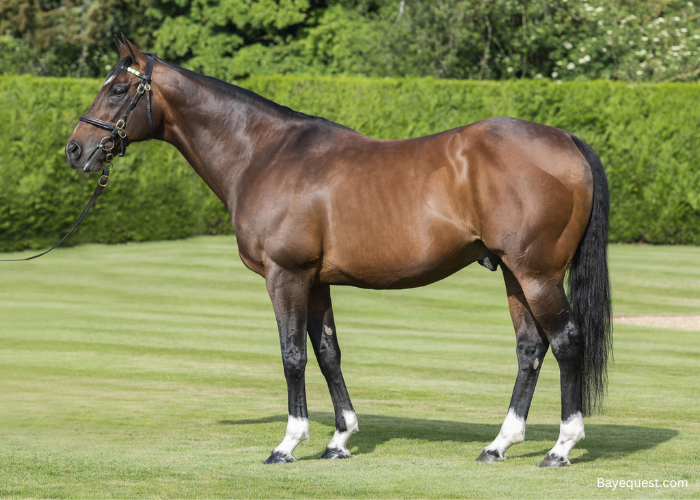 Frankel