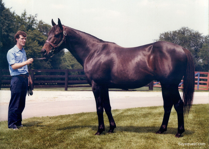 Seattle Slew