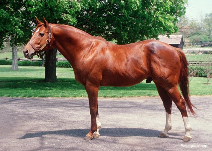 Secretariat