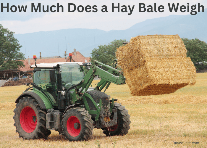 How Much Does a Hay Bale Weigh? Solved!