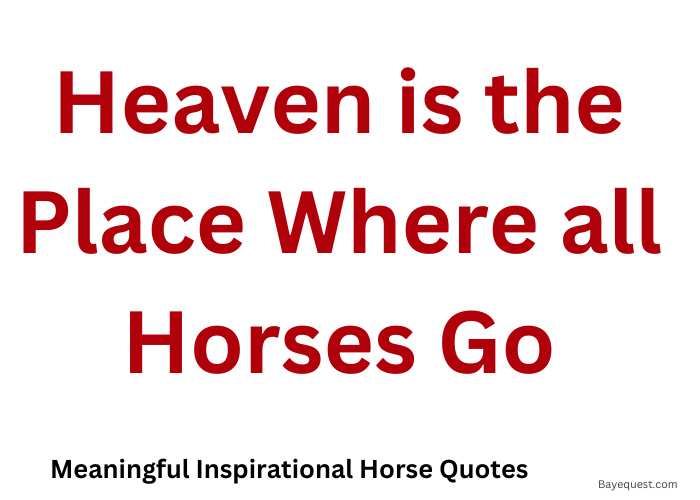 Meaningful Inspirational Horse Quotes