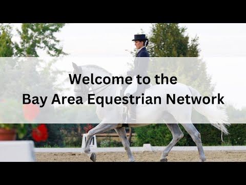 Bay Area Equestrian Network - Bay Area Equestrian Network