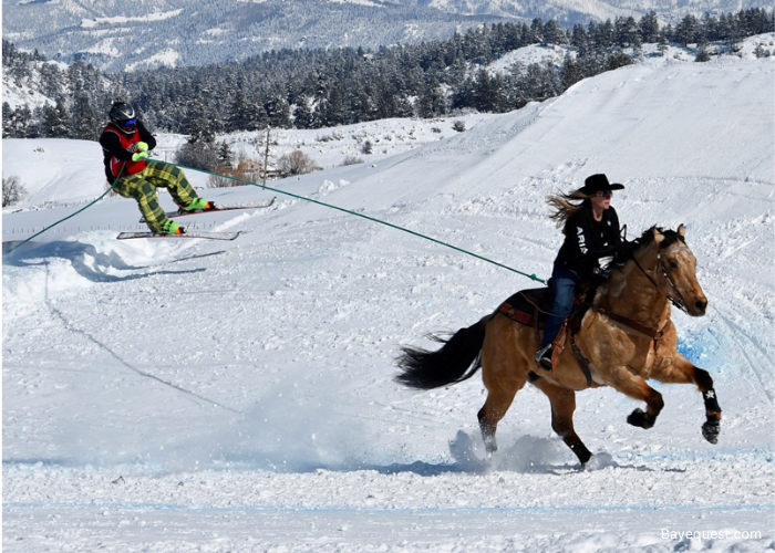 Skijoring