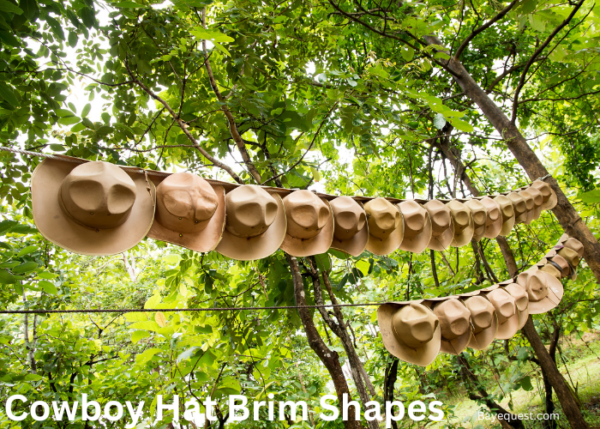 Cowboy Hat Brim Shapes: How to Choose the Best One