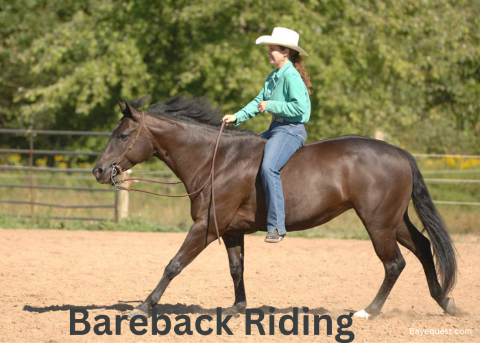 Bareback Riding