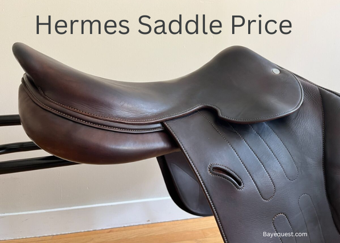 Hermes Saddle Price
