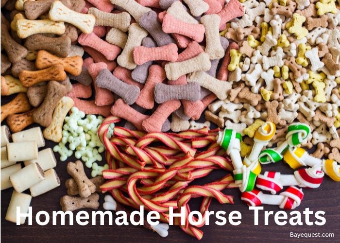 Homemade Horse Treats