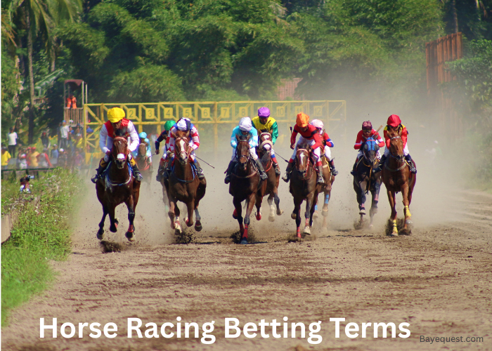 Horse Racing Betting Terms