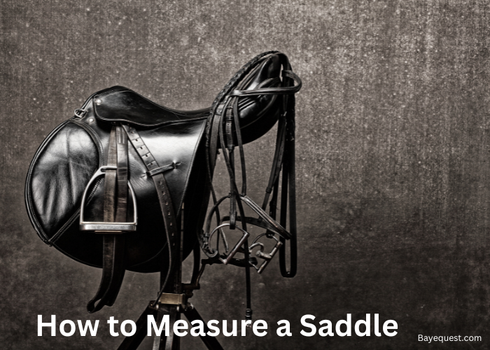 How to Measure a Saddle