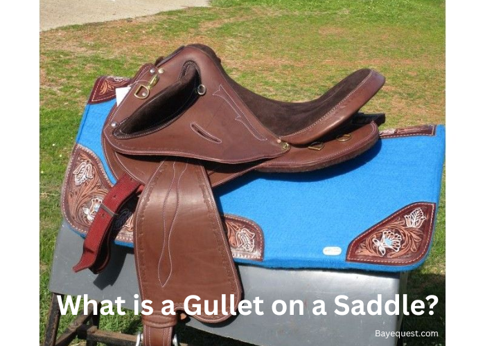 What is a Gullet on a Saddle?