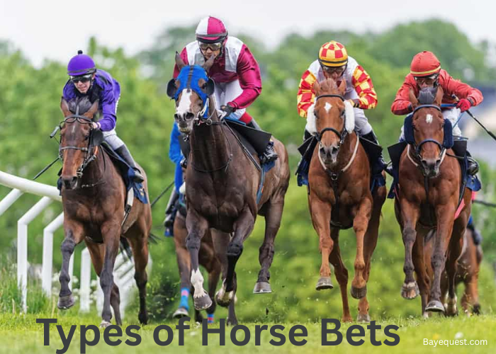 Types of Horse Bets