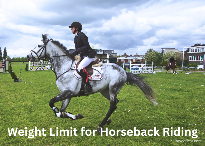 Weight Limit for Horseback Riding