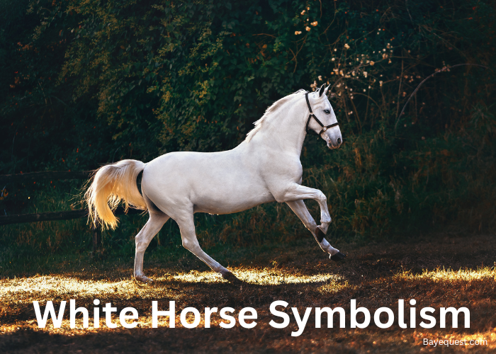 White Horse Symbolism