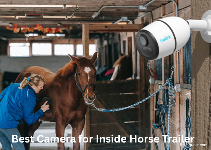 Best Camera For Inside Horse Trailer