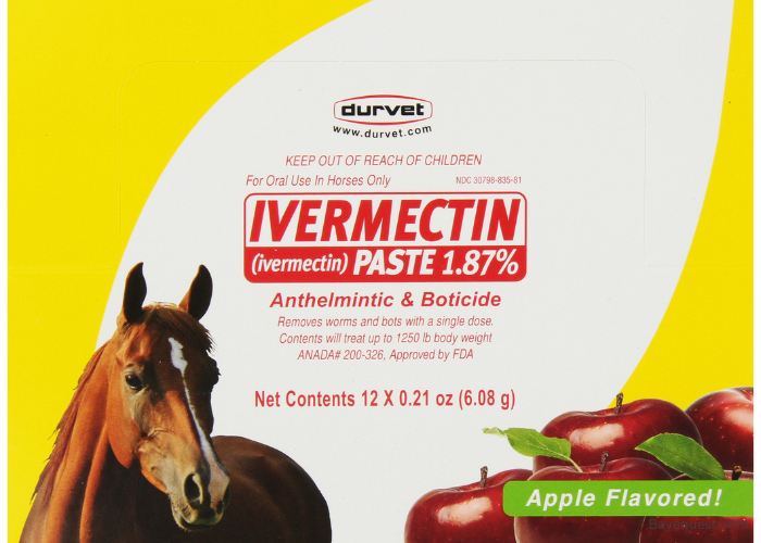 Best Horse Dewormer