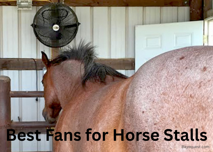Best Fans for Horse Stalls