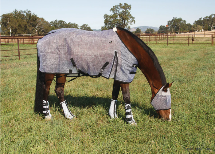 Best Fly Sheets for Horses