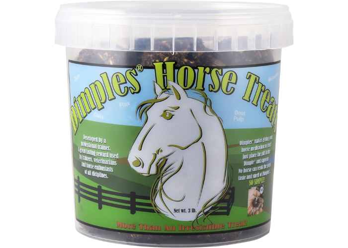Best Horse Treats