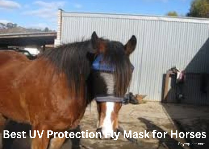 Best UV Protection Fly Mask for Horses