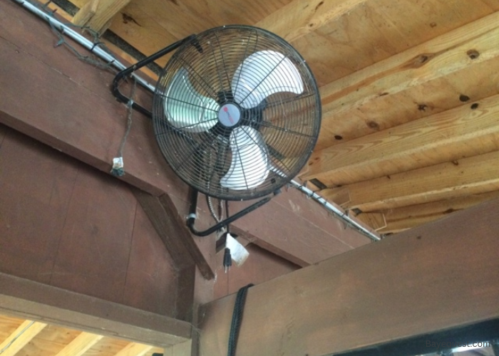Key Features to Look for in Horse Stall Fans
