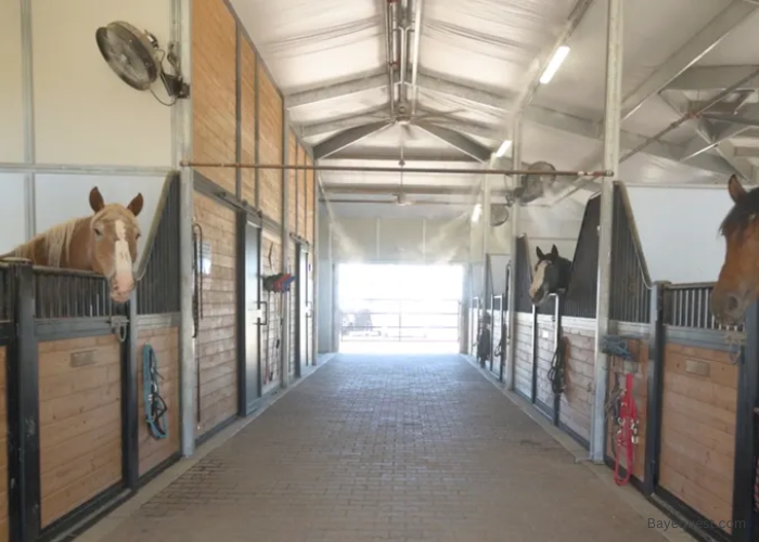 Horse Stall Ventilation